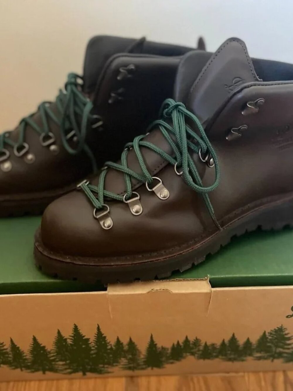 Danner Mountain Lite II boots